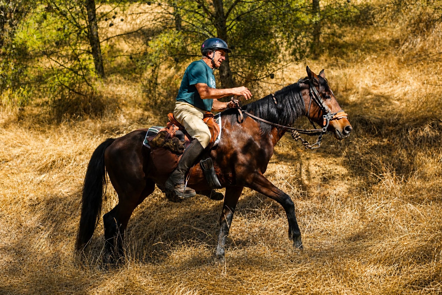 Ruta avanzada con galope (4 h)